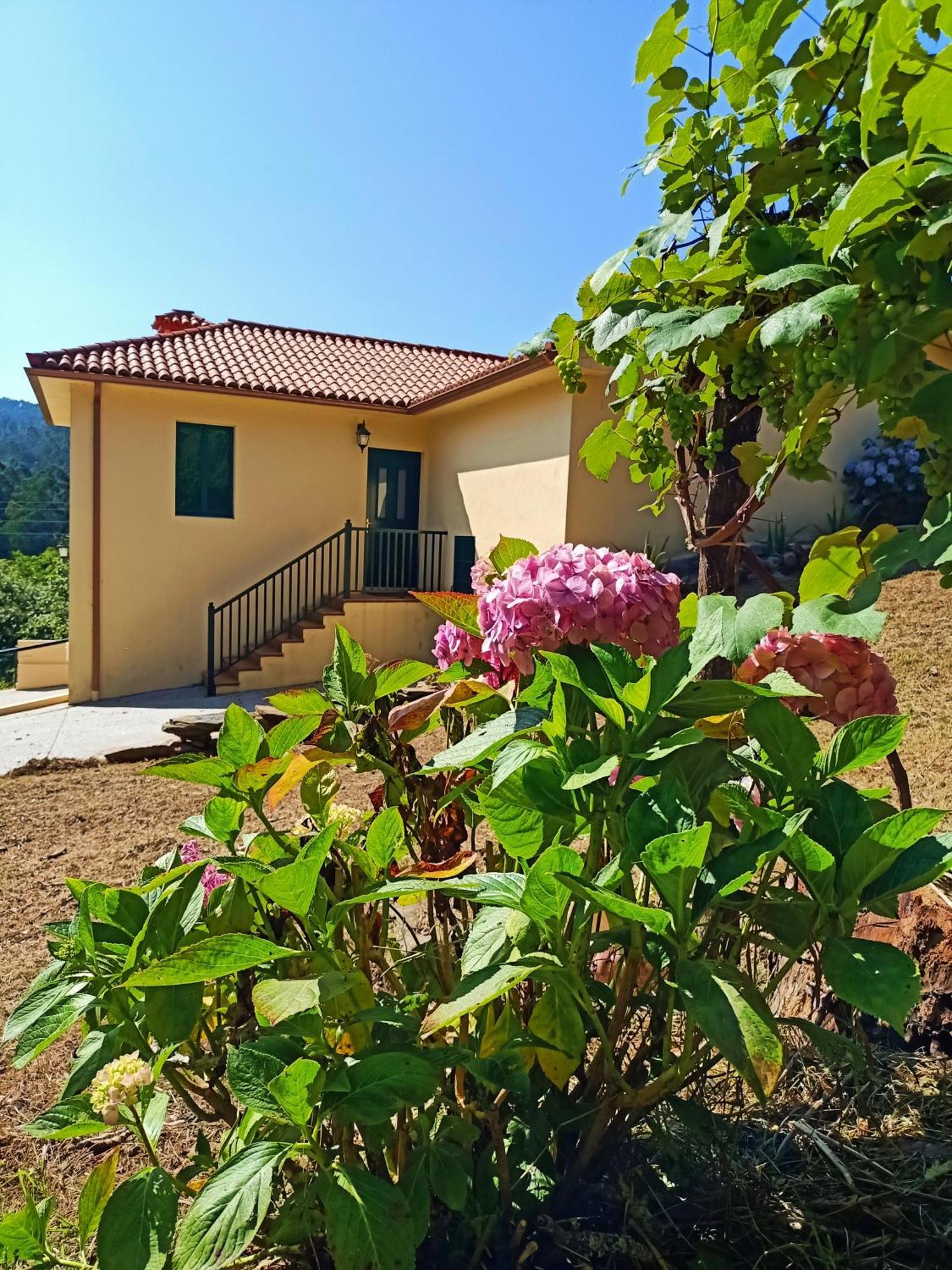 A Casa Do Porto Cerca De Cedeira Y De La Playa De Pantin Villa Valdoviño Kültér fotó